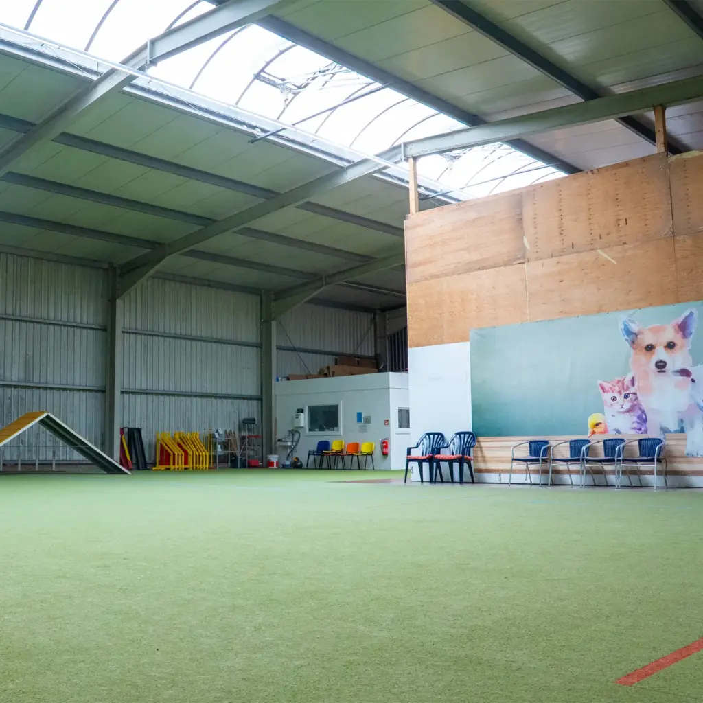 Halle | Hundeschule Haase | Hundeschule Oldenburg