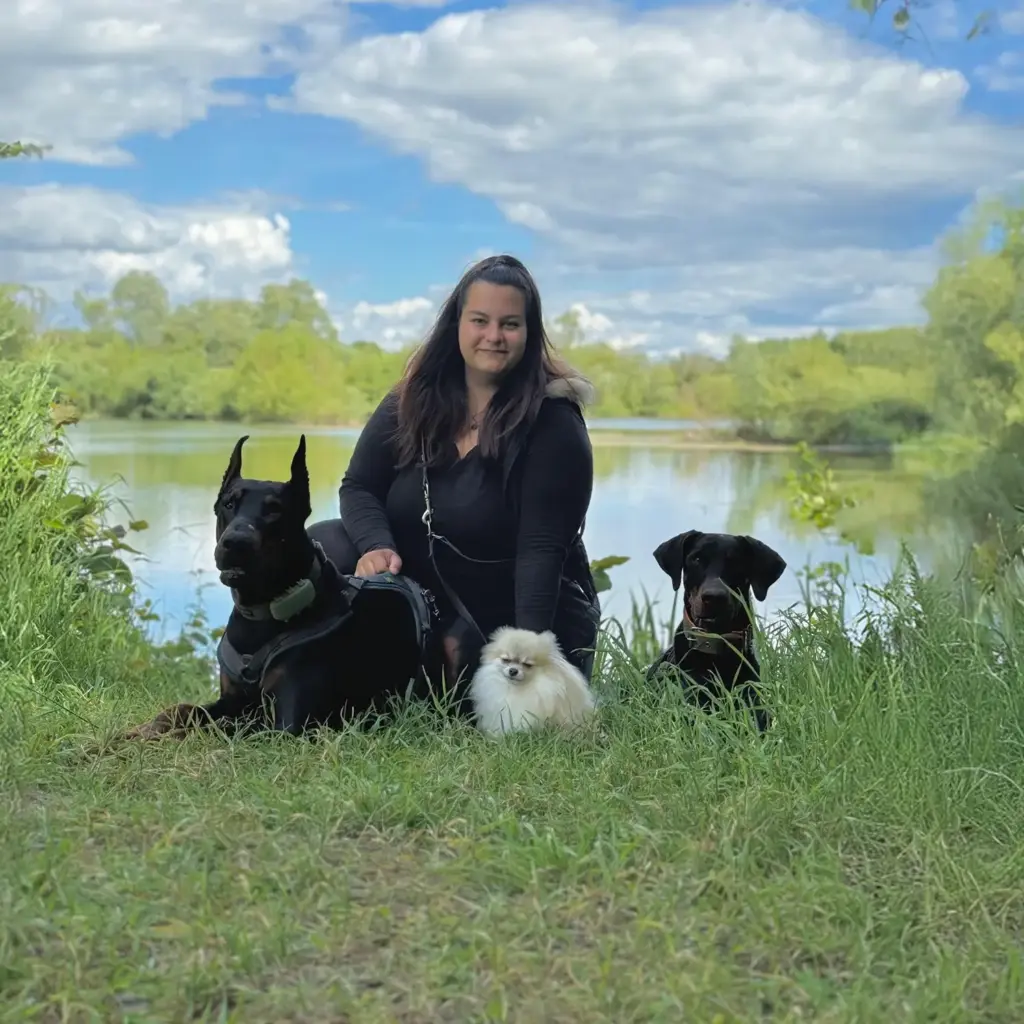 Mella | Hundeschule Haase | Hundeschule Oldenburg